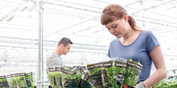 Dlaczego warto wybrać przenośną pompę ciepła Rex Nordic HP19 zamiast tradycyjnej pompy ciepła?